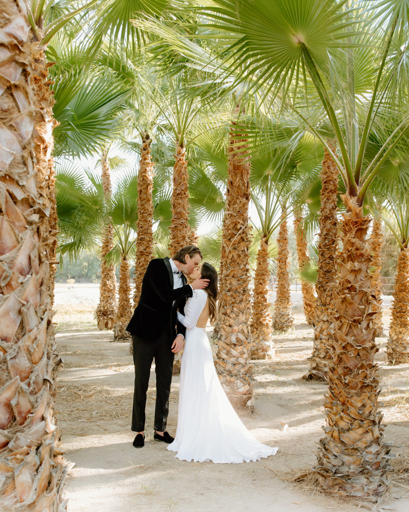 bride and groom kiss in palm tree oasis