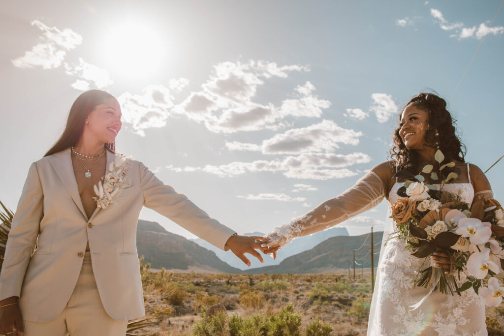 brides holding hands, standing far apart in the desert with a sun glare