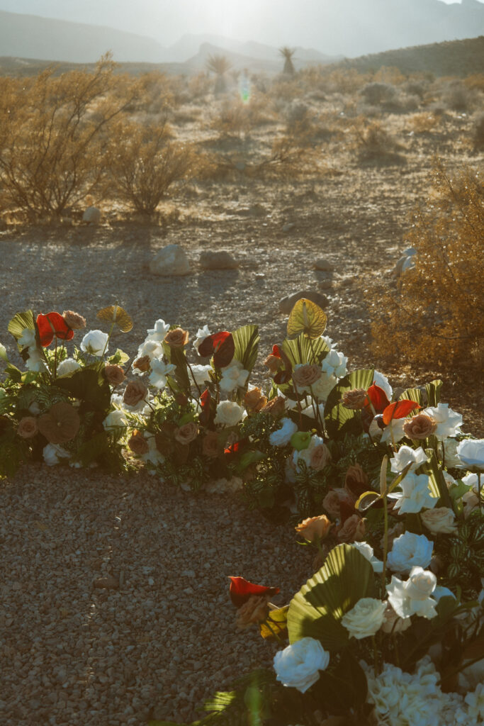 Desert elopement ceremony setup at Desert Love, a Las Vegas desert elopement location with Joshua trees and mountain views